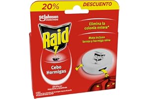 Raid Baits - Ant Trap, Removes Whole Ant Colony, Effective for Indoor and Outdoor, 1 Count (Pack of 1)