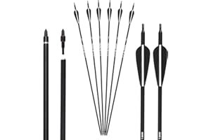 NIKA ARCHERY 12 Frecce per tiro con L'Arco 28 30 31 Pollici Frecce in Carbonio da Frecce da Caccia per Adulti 500 Frecce per Arco della Colonna vertebrale per Arco ricurvo Arco Composto Arco Lungo