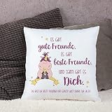 Striefchen® Einhorn Kissen – Knuddelhorn und Schnuppe – Es gibt gute Freunde. Es gibt beste Freunde. Und dann gibt es Dich. - 4