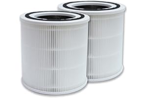 PUREBURG Confezione da 2 filtri HEPA 3 in 1 di ricambio compatibili con il purificatore d'aria HEPA TaoTronics TT-AP005