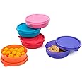 Signoraware Executive Round Small Plastic Container Set, 180ml, Set of 5, Multicolour