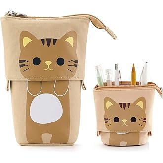 17+ Pencil Case For Drawing