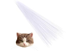 FDCLIXUVOL 300PCS Simulated Animal Whiskers for Crafts, 3 Inches Craft Animal Whiskers Needle Felting Simulated Cat Whisker Animals Plastic Supplies for Stuffed Whisker Muppet (White)