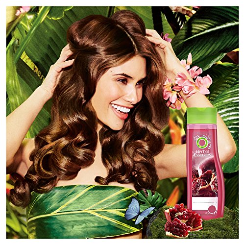 Herbal Essences Beautiful Ends Shampoo for Long Hair, 400 ml - Pack of 6