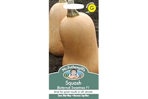 MR FOTHERGILLS Mr Fothergill's 11530 Vegetable Seeds, Squash (Butternut) Sweetmax F1
