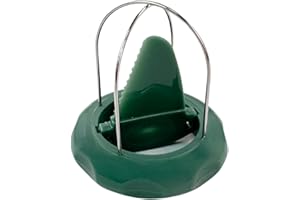 Fackelmann Cortador de Kiwis, Apto para Pelar y Cortar el Kiwi con Facilidad, Acero Inoxidable y Plástico Resistente, Apto para Lavavajillas, Color Verde, 1 ud.