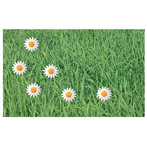 HAB & GUT (RB003) Magnettafel WIESE, mit 6 Blumen-Magneten, 33 x 53 cm Design Motiv - 2
