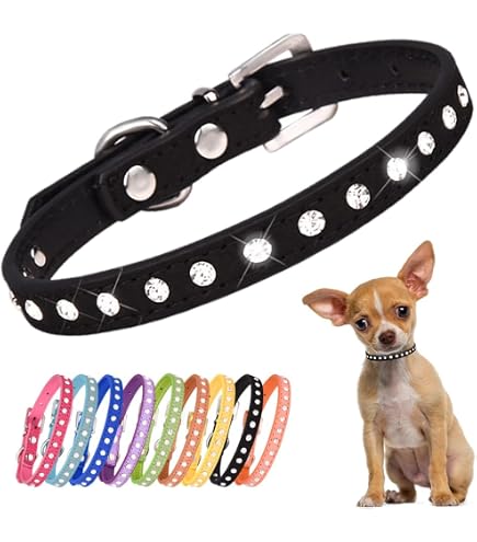 Newtensina 2er Set Hundehalsband – Weiches Wildleder Mit Bling, Für Kleine Hunde & Katzen, Verstellbar