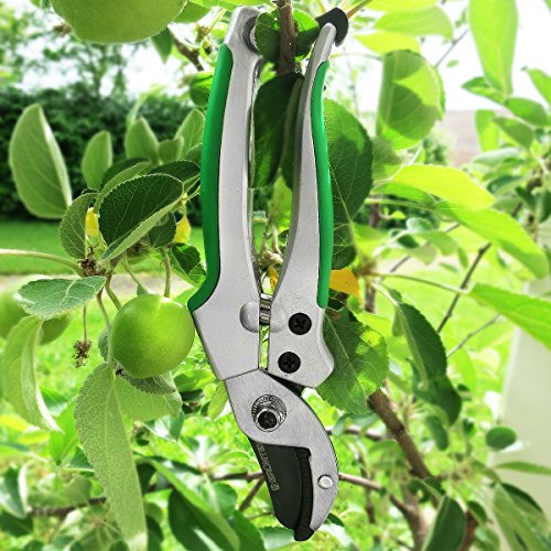 GRÜNTEK Amboss Gartenschere TUKANE 195mm, Klinge aus japanischem SK5 Stahl, Baumschere mit SOFT-TOUCH-Griffe - 5