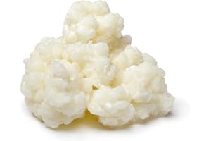 KOMBUCHAORGANIC 10g of Superior Strain Certified Organic Milk Kefir Grains by RawCultures® Certified Organic