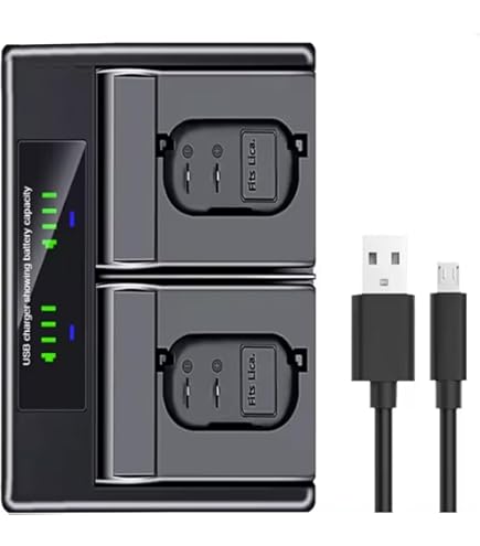 Chargeur de batterie AC double LCD pour dmw-blc12 blc12e blc12gk