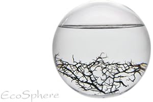 EcoSphere Mittlere Kugel-13cm White Line Dekoratives Ökosystem, Glas/weiß, 13 x 13 x 12 cm