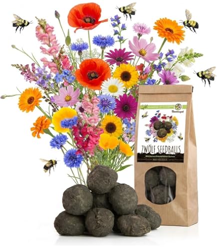 4.000 Samen Zottiger Klappertopf Saatgut (Rhinanthus alectorolophus) Gras  Bremse fr Blumen Wiese Artenvielfalt Wildblumen Milchdieb Saatgut  Bienenwiese : Amazon.de: Garten