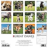 Image de Just Great Danes 2017 Calendar
