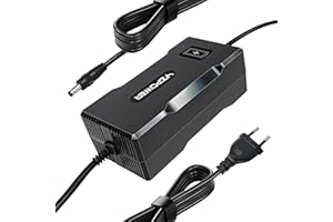 YZPOWER 42V Cargador De Batería De Litio De 36V 5A para Bicicleta Eléctrica, Patinete Electrico Conector DC 5,5 x 2,1 mm