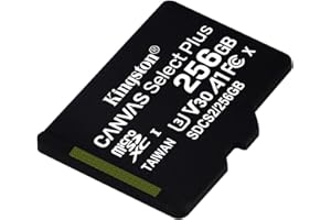 Kingston Canvas Select Plus SDCS2/256GBSP Karta Pamięci Microsd, Czarny, 256 GB
