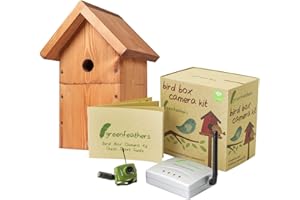 Green Feathers Wildlife Bird Box Wireless SD 700TVL Video Camera With Complete DIY Timber Chalet Style Bird Nest House Box