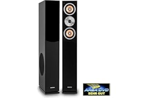 auna Linie 501 FS BK - 3-Wege Standlautsprecher Boxen, Passive HiFi Lautsprecher Standboxen, 140 W RMS, 8" Tieftöner, 2x4 Mitteltöner, 1" Hochtöner, schwarz