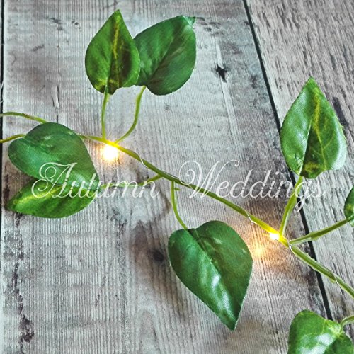 Ivy Fairy Lights / String Lights - 2m 20 LED - Wedding Decorations - AA Battery Powered - Warm White - Indoor Leaves - Leaf Garland with Lights - Fairy Lights Bedroom - Leaf Fairy Lights - Fairy Lights Leaf - Prime Delivery