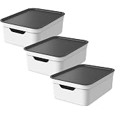 Jive Dekobox Set of 3 10L Boxes with Lid, Plastic (Recycled PP), 10L (37.5 x 27.7 x 13.5 cm) | Cajas de almacenaje pl&aacute;stico,