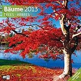 Image de Bäume 2013