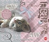 Sweetheart Katzen Maxi-Postkartenkalender 2016 by 
