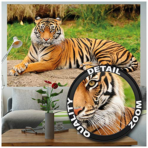 Papel pintado fotográfico que muestra un tigre - fotomural de un tigre majestuoso ideal para el salón by GREAT ART (210 x 140 cm)