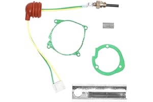 TOPJOWGA Bougie de préchauffage en Céramique, 12V 2KW 5KW 8KW Appareil de Chauffage de Stationnement Universel, pour Chauffage de Stationnement, Voiture, Camion, Bateau