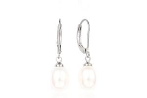 Limerencia G23 Titanium Leverback Dangle Drop Earrings for Woman Fashion 5A CZ Earrings Hypoallergenic Jewelry Gift