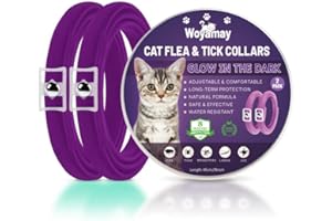 Woyamay Collare Antiparassitario per Gatti, 2 Pezzi Naturali Collare Antipulci Gatto Regolabile Resistente All'acqua, Collare Antipulci per Gatti con Protezione di 8 Mesi per Tutti i Gatti, Viola