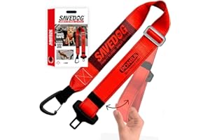 PONSA Cinturón Perro Coche Homologado - Cinturon de Seguridad para Perros Fabricado en España. Correa Ajustable, Resiste 1000kg.Ref.027172050102