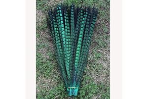 ESOES 10 plumas de faisán de la naturaleza, 30-35 cm, plumas de cola para manualidades o decoración (verde)