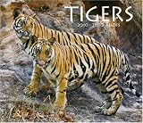 Tigers 2010 by 