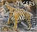 Tigers 2010 by 