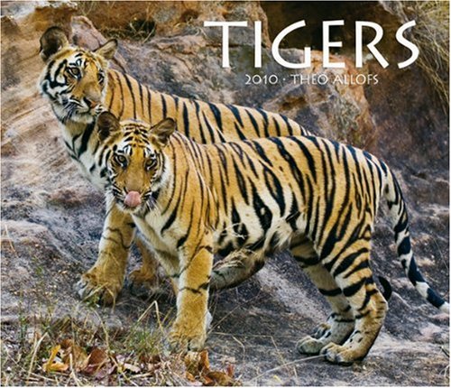 Tigers 2010