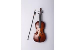 ALANO 10cm modello di violoncello in miniatura con arco e supporto ornamento decorativo Mini ornamento musicale con scatola di carta nera