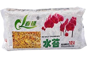 XUGEND Sphagnum Moos Für Bonsai, Orchideen, Sphagnum Moos Substrat Get Trocknen, Wassermoos Trockenmoos Wasser Gras Substrat Für Orchidee Phalaenopsis 6L/12L