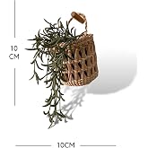 WAHSHE &Ccedil;ok Ama&ccedil;lı Sepet/Askı Sepet Dekoratif Hasır Sepet/Duvar Sepet 10x10cm 00122 | Hasır el yapımı