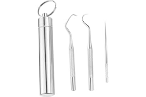 IRYNA 1Pcs Toothpick Holder with 304 Stainless Steel Toothpicks Set Reusable Titanium Toothpick Waterproof Metal Pill Box with Key Chain Travel Toothpick In Case for Outdoor Activities and Travel