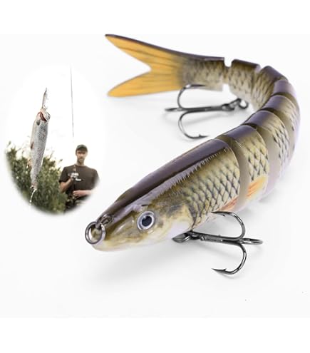 Sua Maest&agrave; La Ricciola . Abitudini Ed Esche Preferite