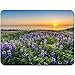 Produktbild Mause Mat Mauspad Nordsee Rogaland Norwegen Blumen Rutschfeste Customized Rechteck Mousepad Gummi Gaming Mouse Pad 25X30Cm
