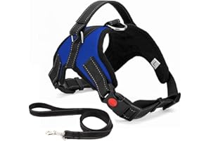 Musonic No Pull Dog Harness Breathable Adjustable Comfort Free Lead Included for Small Medium Large Dog Best for Training Walking S Blue