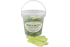 ISULA DI ANGELO CABIZZOSU Menta Mojito liofilizzata a foglie intere-pronta all'uso per Cocktail, tisane e Piatti Innovativi-Preserva il 98% del gusto, colore e aroma della menta fresca- 100% MENTA HIERBABUENA-