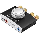 Mini Bluetooth Amplifier, BITIWEND HiFi Amplifier Bluetooth 5.0 Audio Power Amplifier, Stereo Hi-Fi Digital Amp 2.0 Channel 1