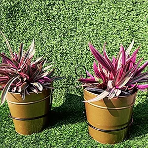 Candor Home Decors Cylindrical Hanging Planters & Pot for Living Room with Stands Indoor Decorative Planter Outdoor Plant Containers Garden Balcony Decoration Set of 2