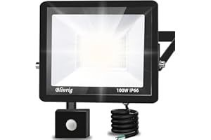 BLIVRIG Foco LED Exterior,100W Foco LED con Sensor de Movimiento,Proyector LED Exterior 10000LM 6000K Blanco Frío IP66 Impermeable Focos LED Exterior para Para Jardín, Garaje, Plaza, Patio