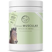 l carnitina para caballos L-Carnitina which plays a vital role in the metabolism of fat L-CARNITINA 60 CAPS | bhp-nutrition