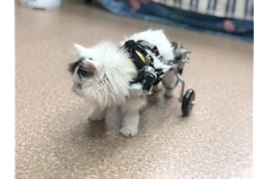 CORA PET Rimorchio Sedia a Rotelle per la Riabilitazione delle Zampe Posteriori di Cane Gatto e Cuccioli, Carrello per Cani Anziani Feriti Disabili, Carrellino Passeggini per Tutti i Cani