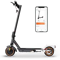 E9 Pro Mit Straßenzulassung (ABE), Faltbare Elektroroller-Federung, 350 W Motor, 36V 7,5Ah Akku, 8,5 Zoll Reifen