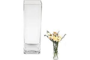 ASSRECT Glass Vases 30cm Tall Clear Square Flower Vase Handmade Modern Floral Arrangement Ornament Modern Ornaments for Wedding Party Home Office Decor Table Decoration